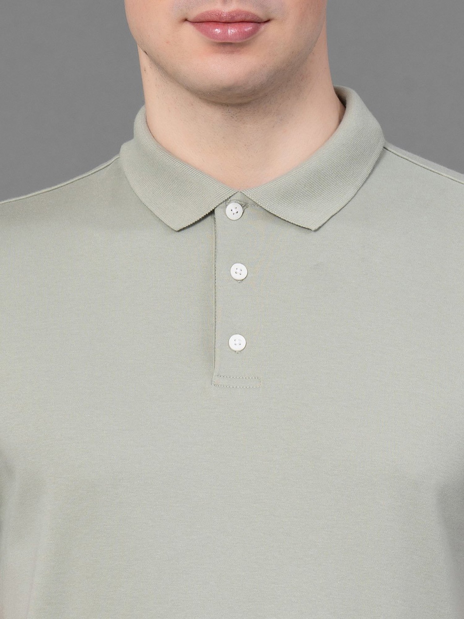 Red Tape Sage Green Regular Fit Cotton Polo T-Shirt