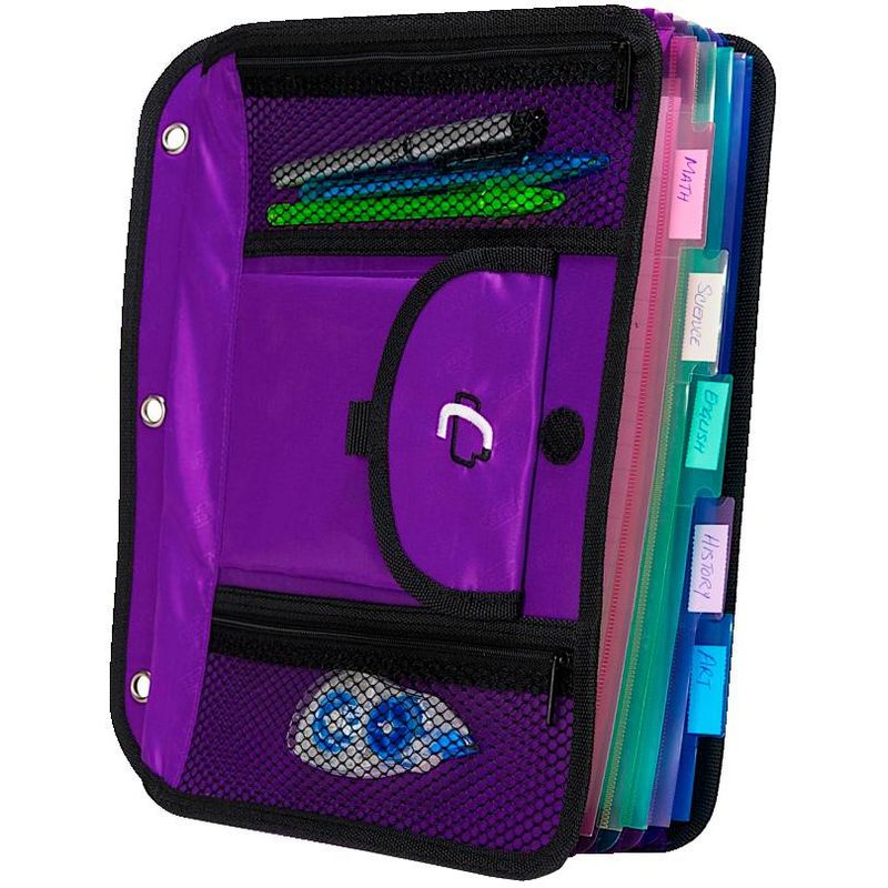 Case-it 5-Tab Expanding File Insert, Purple