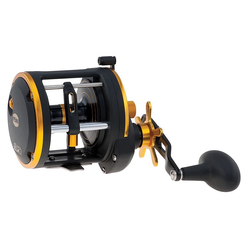 Penn SQL20LWLH Squall Level Wind Left Hand Fishing Reel with 2 Stainless Steel Bearings for Freshwater or Saltwater Fishing, Size 20 (Black Gold)