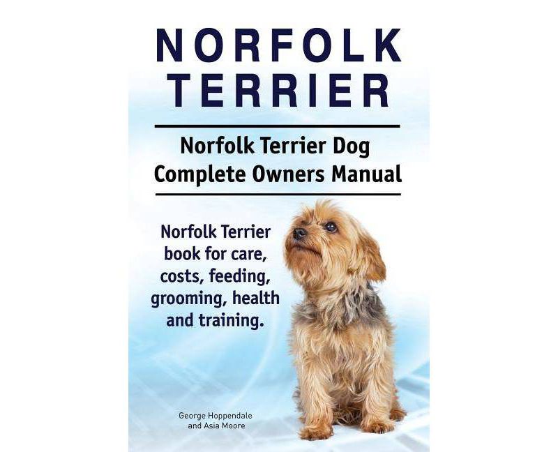 Norfolk Terrier. Norfolk Terrier Dog Complete Owners Manual. Norfolk Terrier book for care, costs, feeding, grooming, health and training.