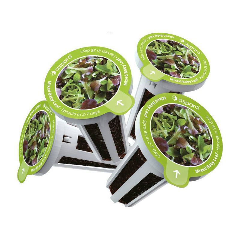 Aspara KLS0001 8 Capsule Seed Kit - Mixed Baby Leaf