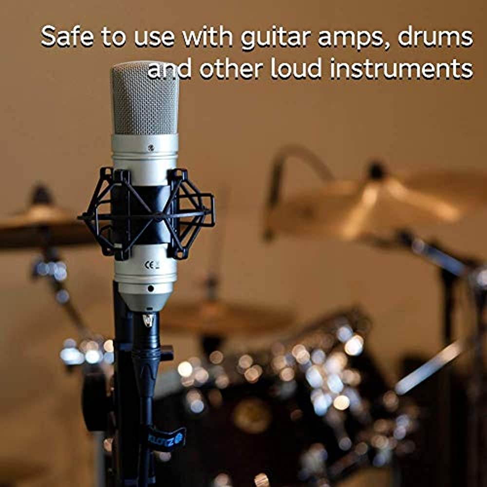 Tascam TM-80 Condenser Microphone