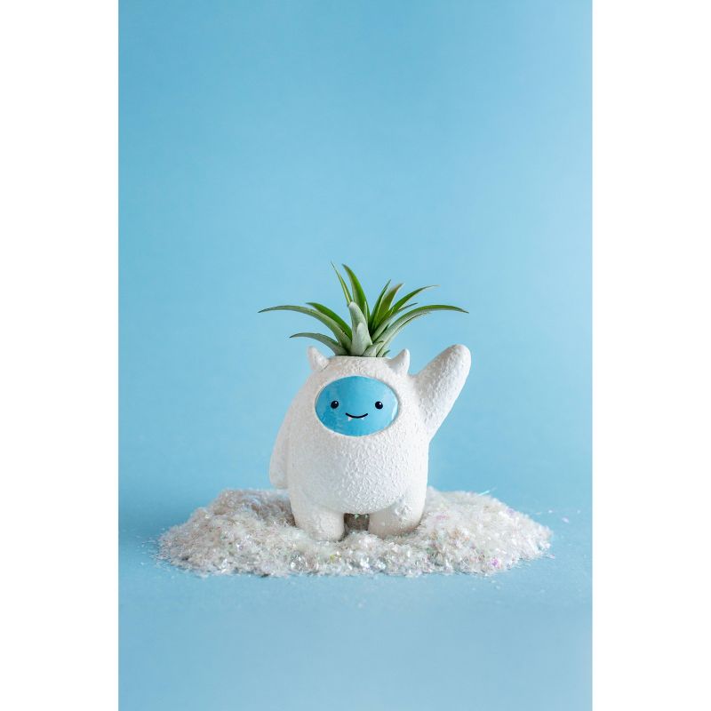 Van Zyverden Roses Mikado Root Stock