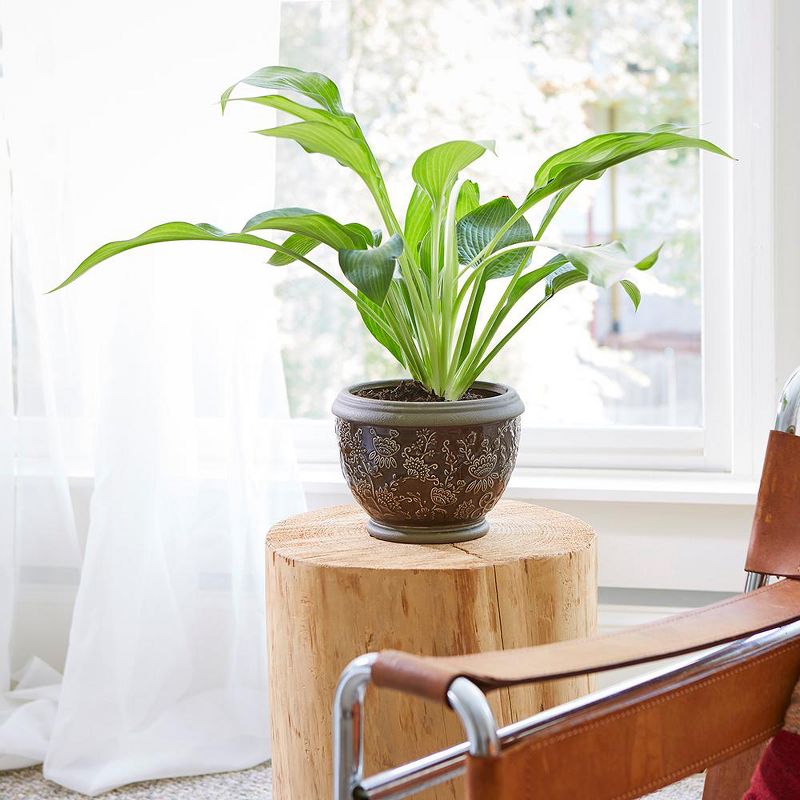 8" Gracie Planter, Deep Gray 2-pk. - Southern Patio