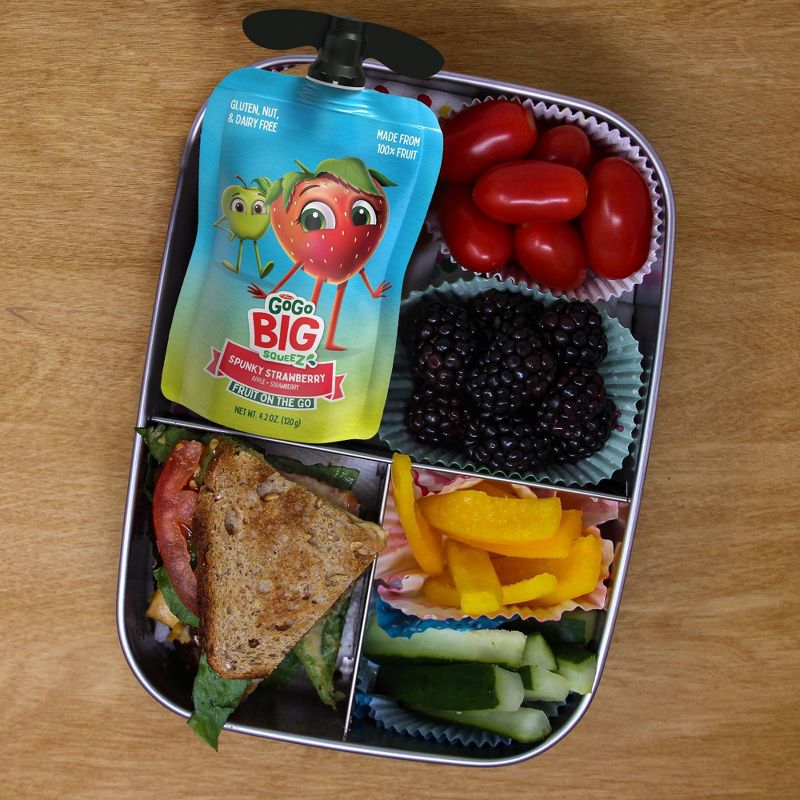 GoGo SqueeZ Big Variety Pack Apple Straw Pear Cinna Van - 42.3oz/10ct