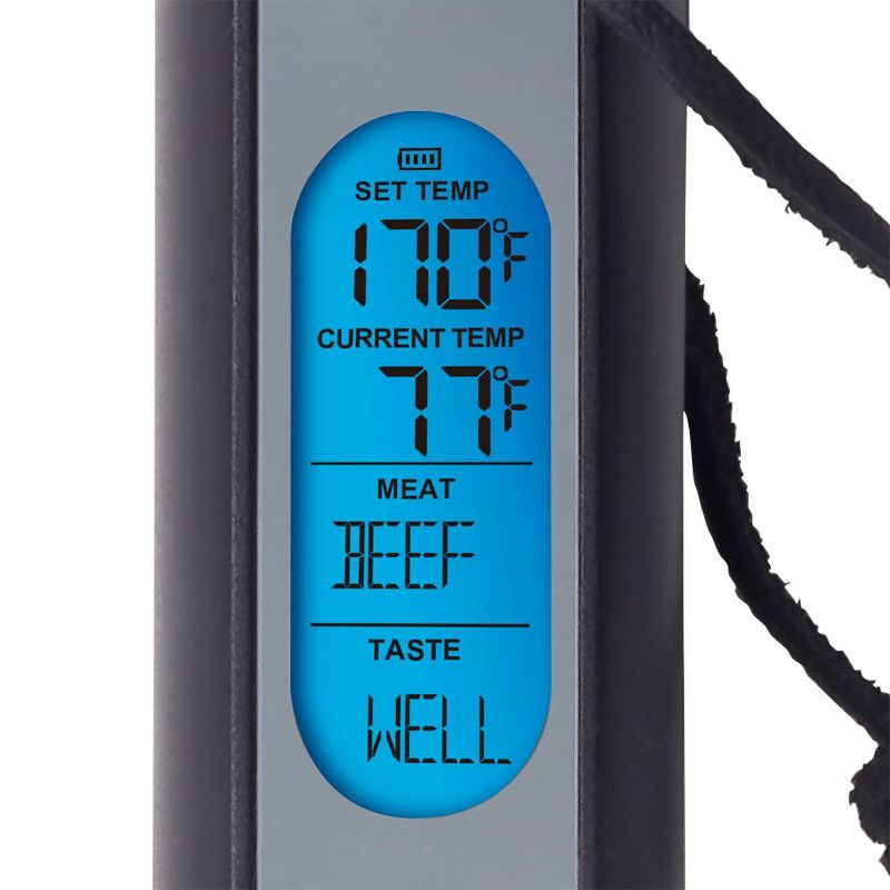 Taylor Digital Fork Thermometer