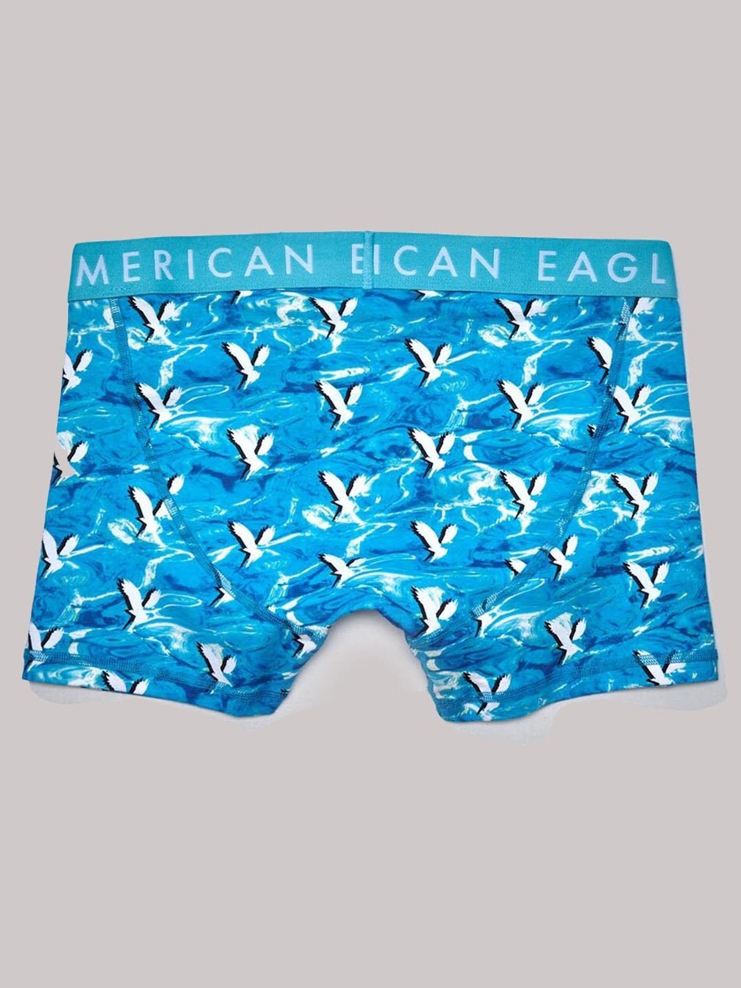 American Eagle Blue Cotton Regular Fit Printed Trunks