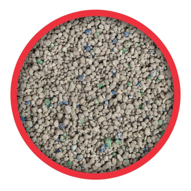 Purina Tidy Cats Lightweight 24/7 Performance Multiple Cats Clumping Litter - 8.5lbs