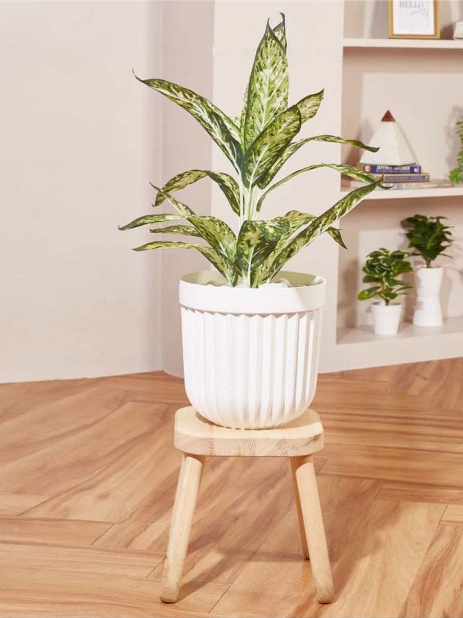 Mason Home White Ruffle Planter Large