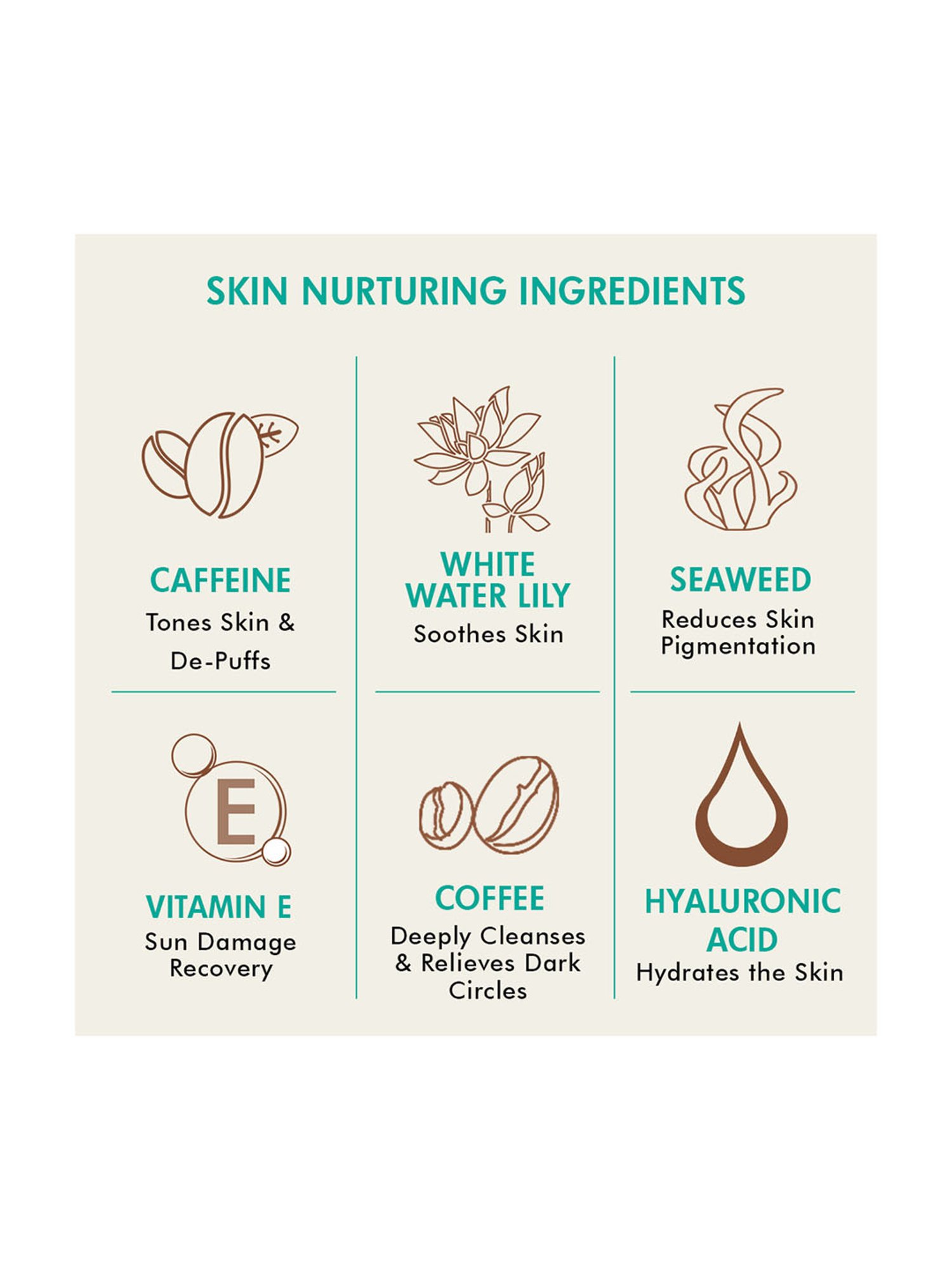 mCaffeine Daily Coffee Picks - Pack of 3