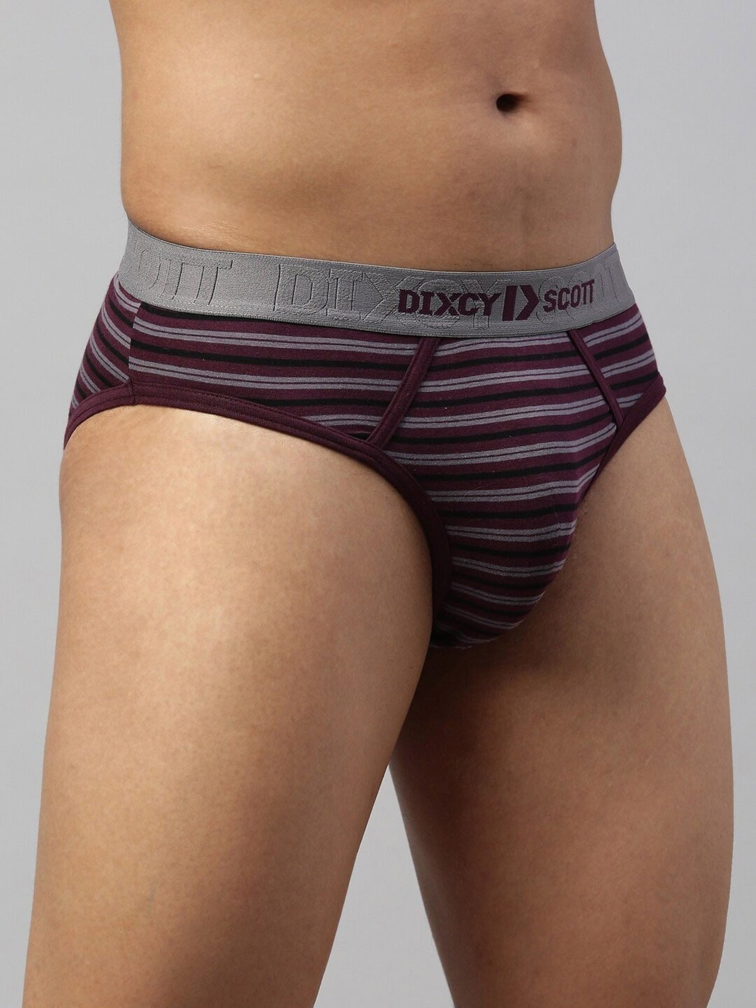 DIXCY SCOTT MAXIMUS Purple Regular Fit Striped Briefs