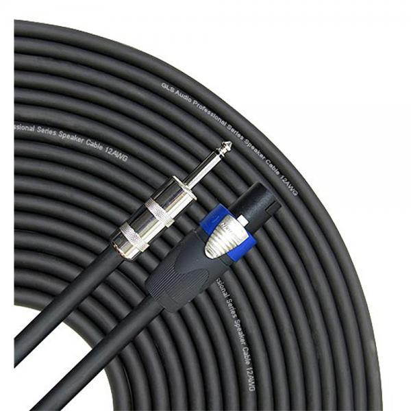 GLS Audio 25 feet Speaker Cable 12AWG Patch Cords - 25 ft 1/4 to Speakon Professional Cables Black Neutrik NL4FX (NL4FC) 12 Gauge Wire - Pro 25' Phono 6.3mm to Speak-on Cord 12G - Single