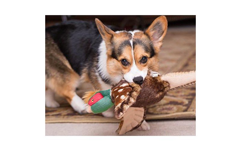 Fluff & Tuff IKE The Pheasant, Large Plush Dog Toy with Squeaker