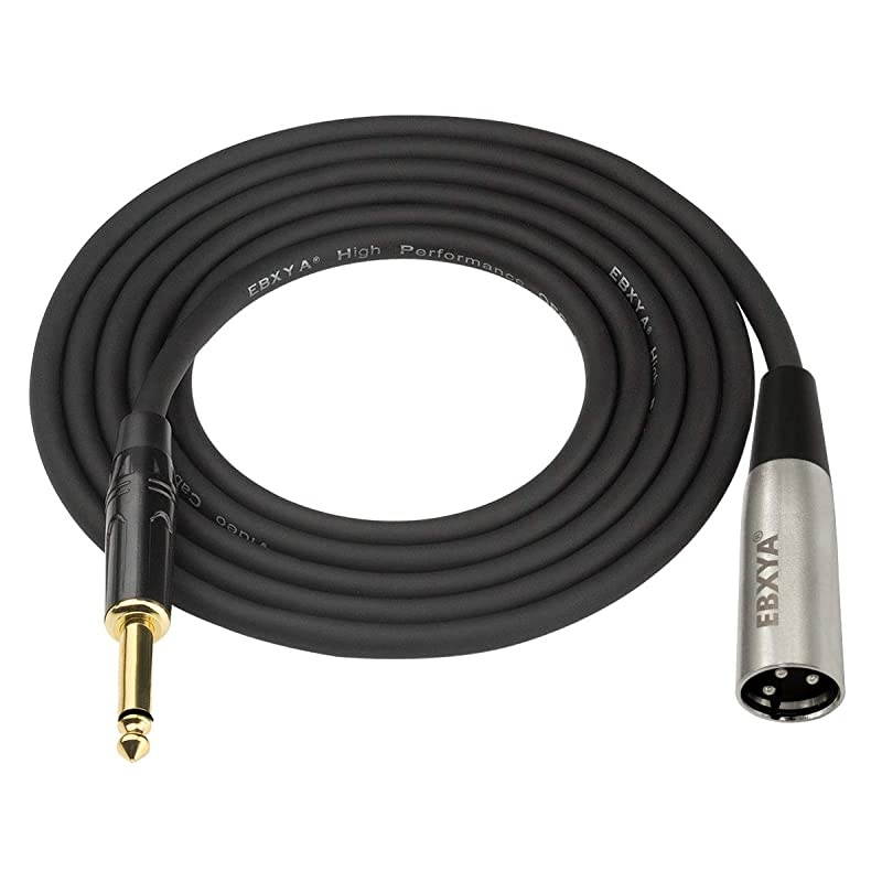 Guitar to Microphone Cable 3 Feet 2 Packs 14 TS to XLR Male with 3 Pins Unbalanced Cable