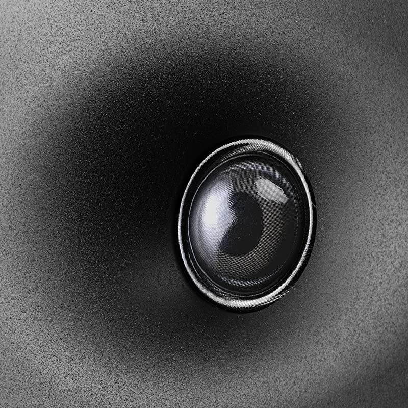 D1090 Active Wireless Bookshelf Speakers - DSP Crossover - 6.5'' Long-Throw Woofer - 28mm Soft Dome Tweeter - 220W RMS -Black