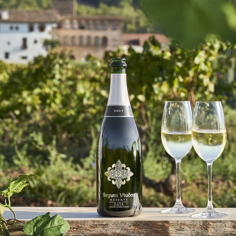 Segura Viudas Brut Cava Sparkling White Wine - 750ml Bottle