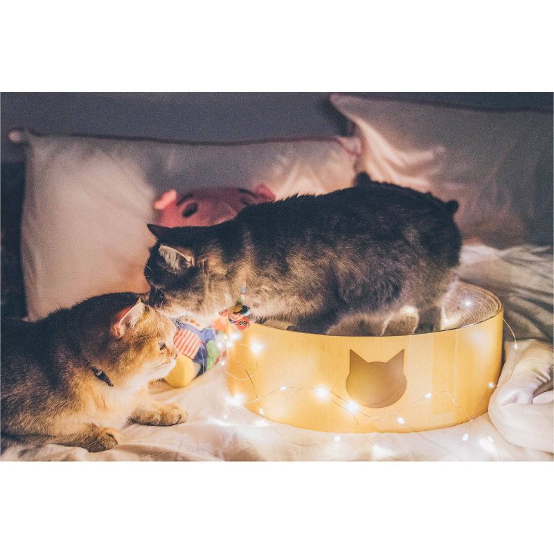 PETKIT Flying Fish Cat Scratcher - White/Blue