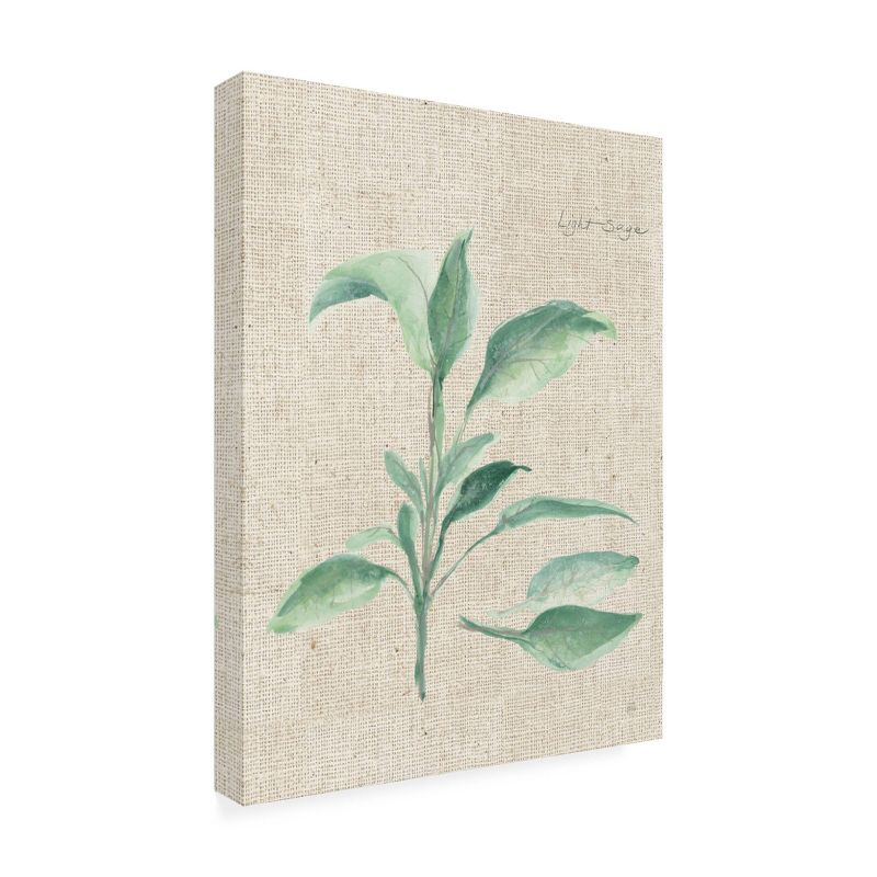 24" x 32" Chris Paschke 'Sage II on Burlap' Unframed Canvas Art - Trademark Fine Art