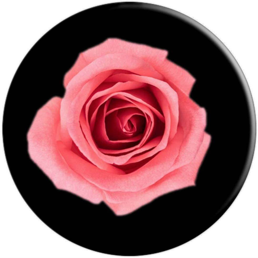 Pink Red Rose in Black PopSockets Grip and Stand for Phones and Tablets