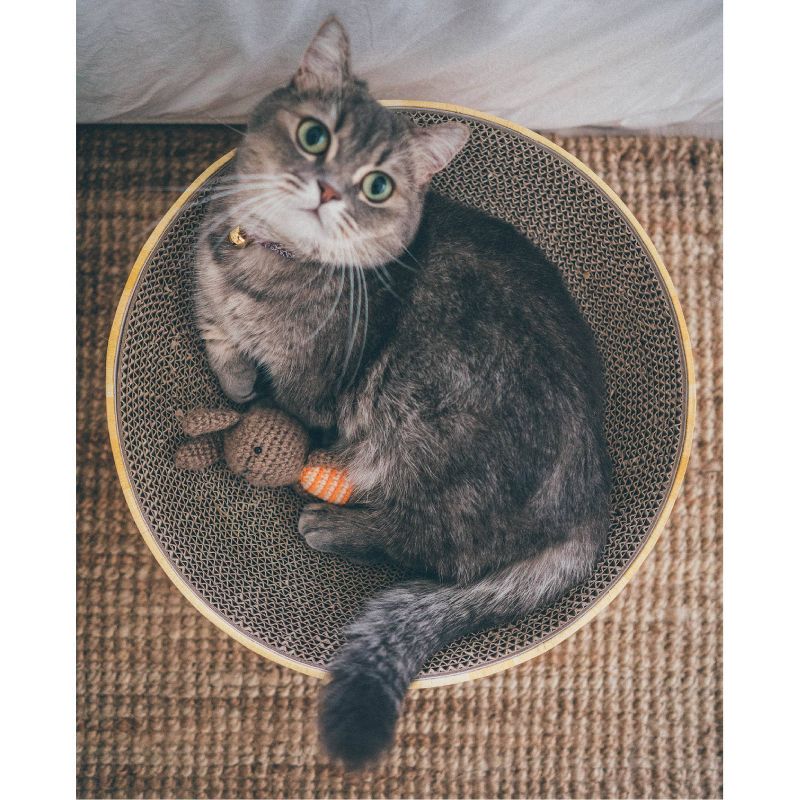 PETKIT Flying Fish Cat Scratcher - White/Blue