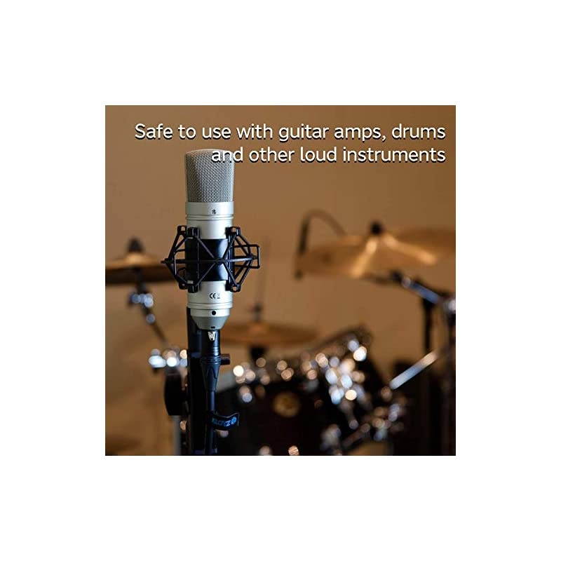 TM80 Large Diaphagm Condenser Microphone