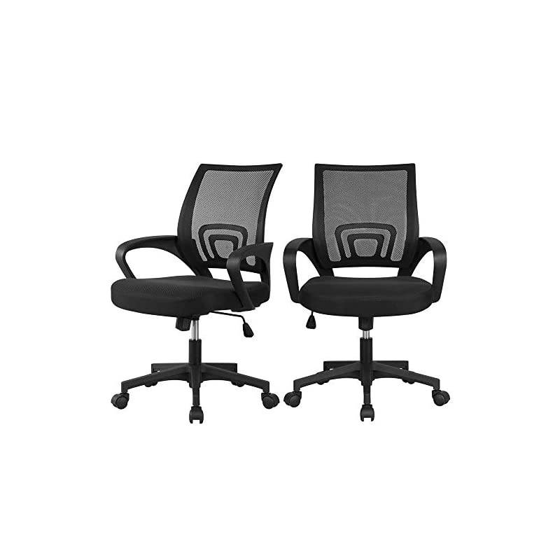Office Chair Mid Back Swivel Lumbar Support Desk Chair, Height Adjustable Computer Ergonomic Mesh Chair with Armrest Black, 2-Pack