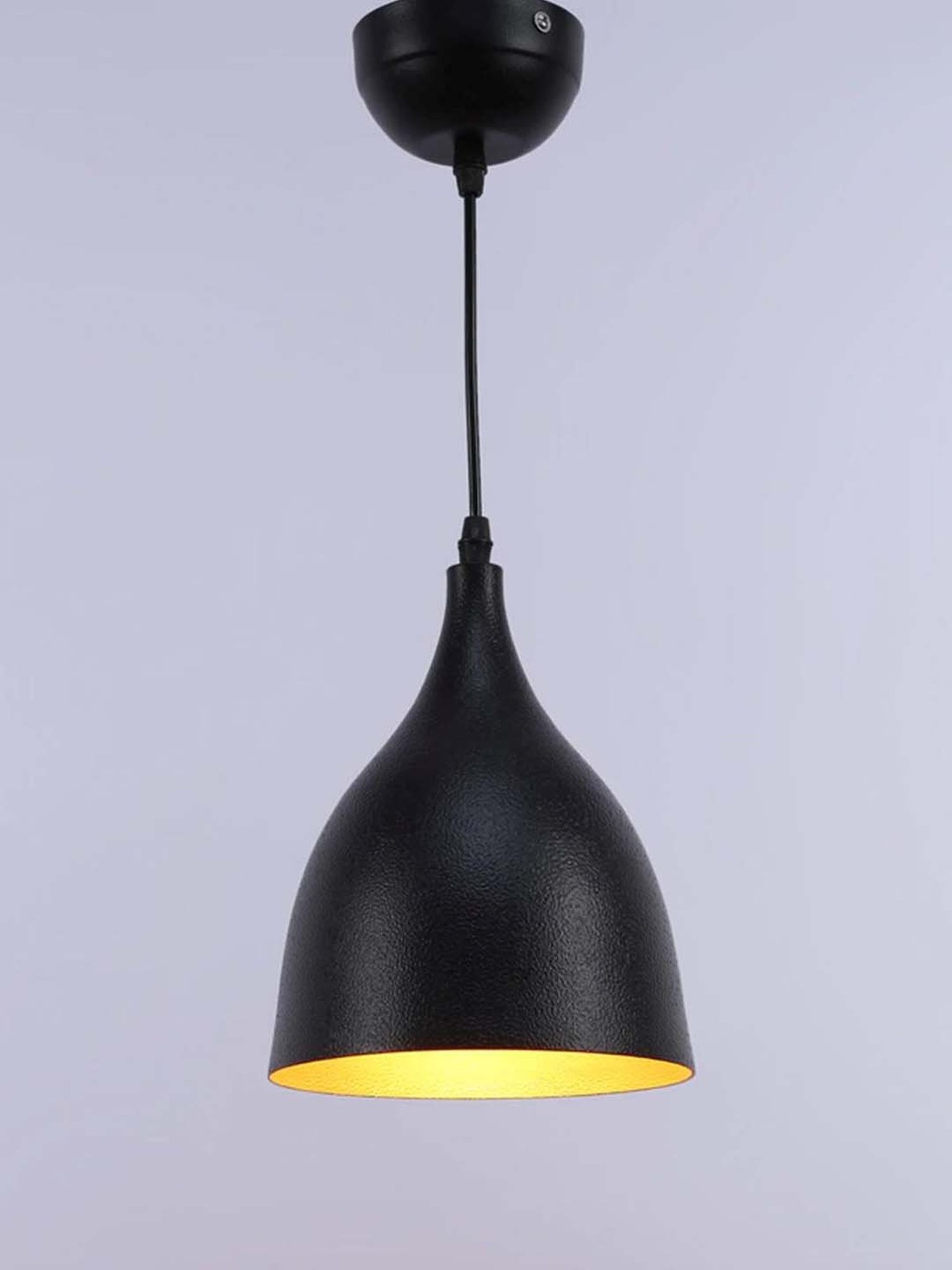DecorativeRay Black Hanging Light - Set of 1