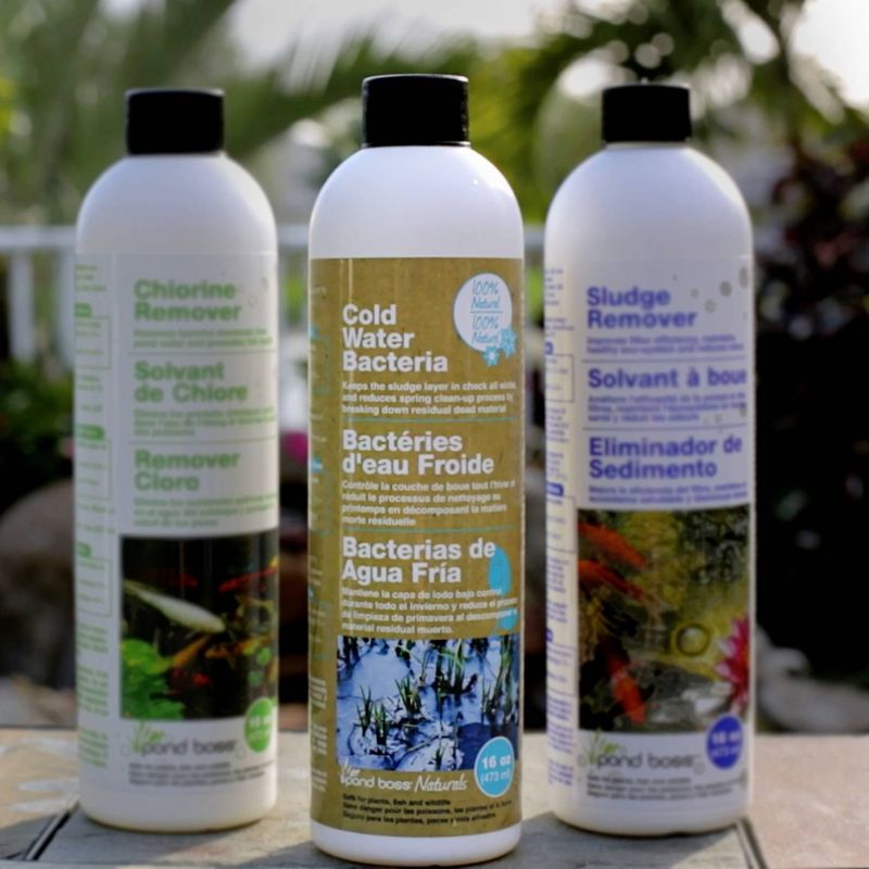 8.69" Pond Boss Cold Water Bacteria for Ponds - 16oz