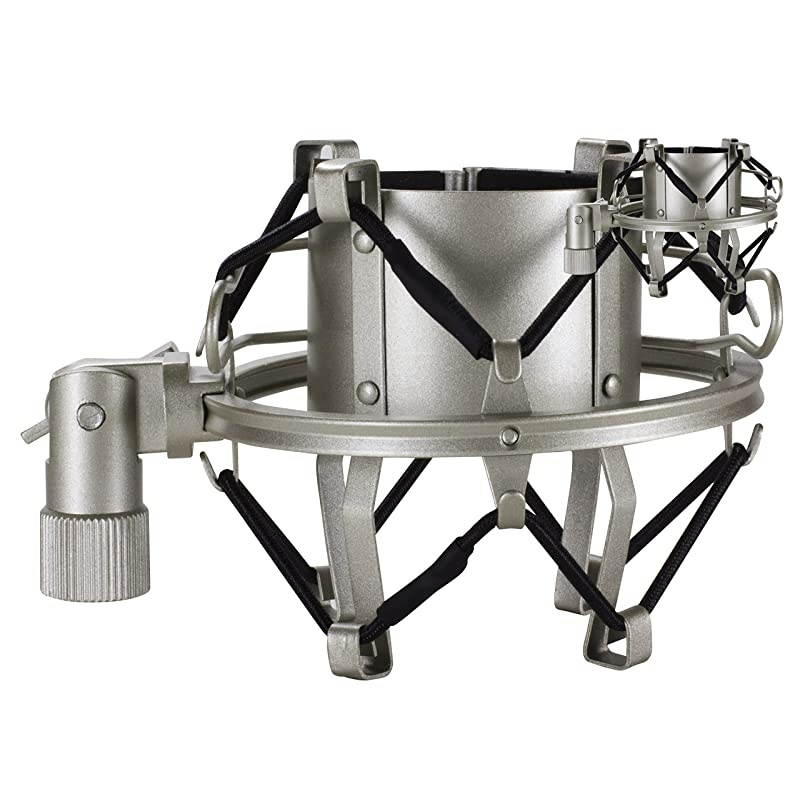 V67G HE Heritage Edition Large Capsule Condenser Microphone