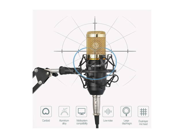 gold--BM800 Professional Suspension Microphone Kit Studio Live Stream Broadcasting Recording Condenser Microphone Set