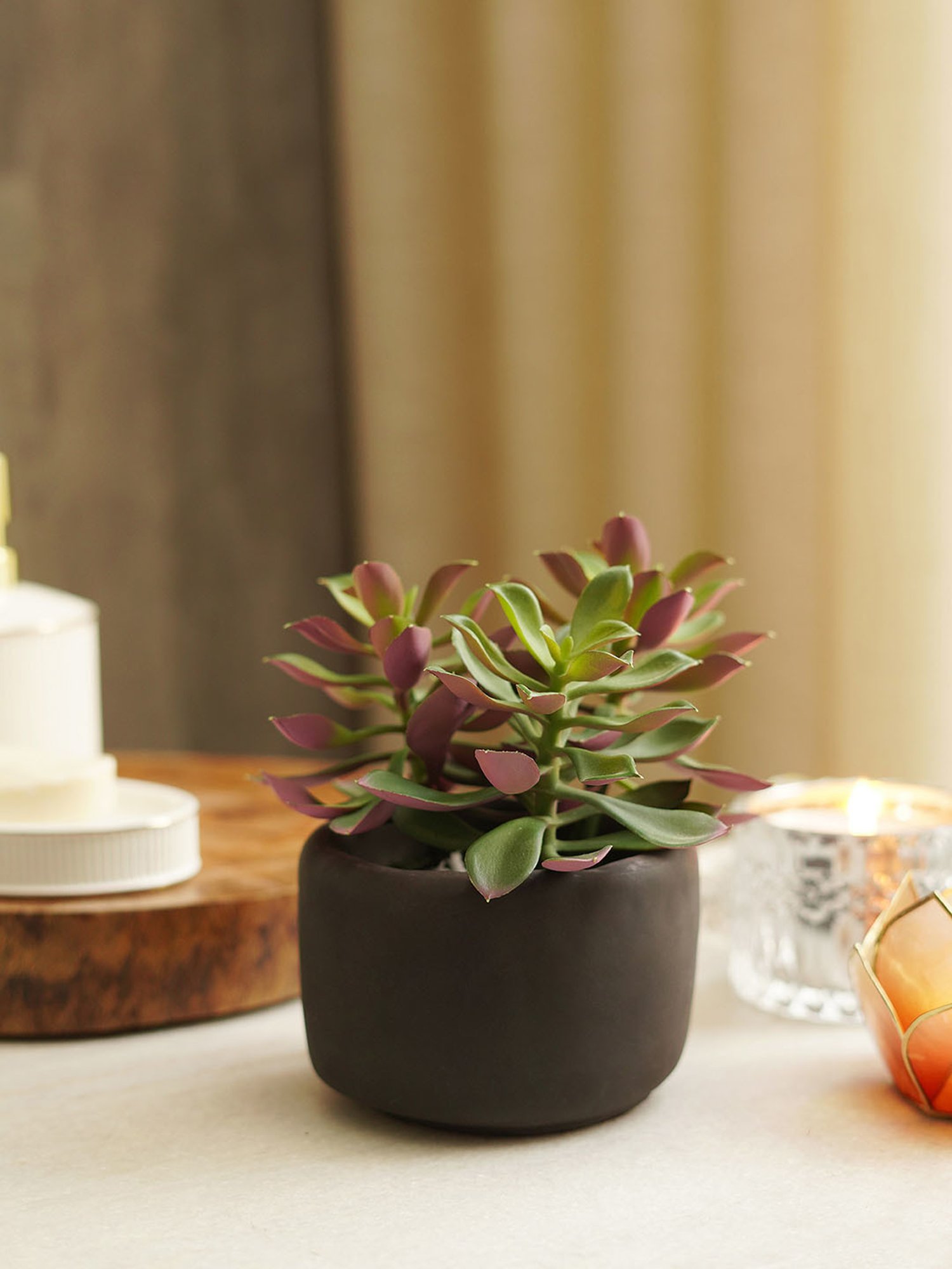 Pure Home and Living Green Plastic Succulents