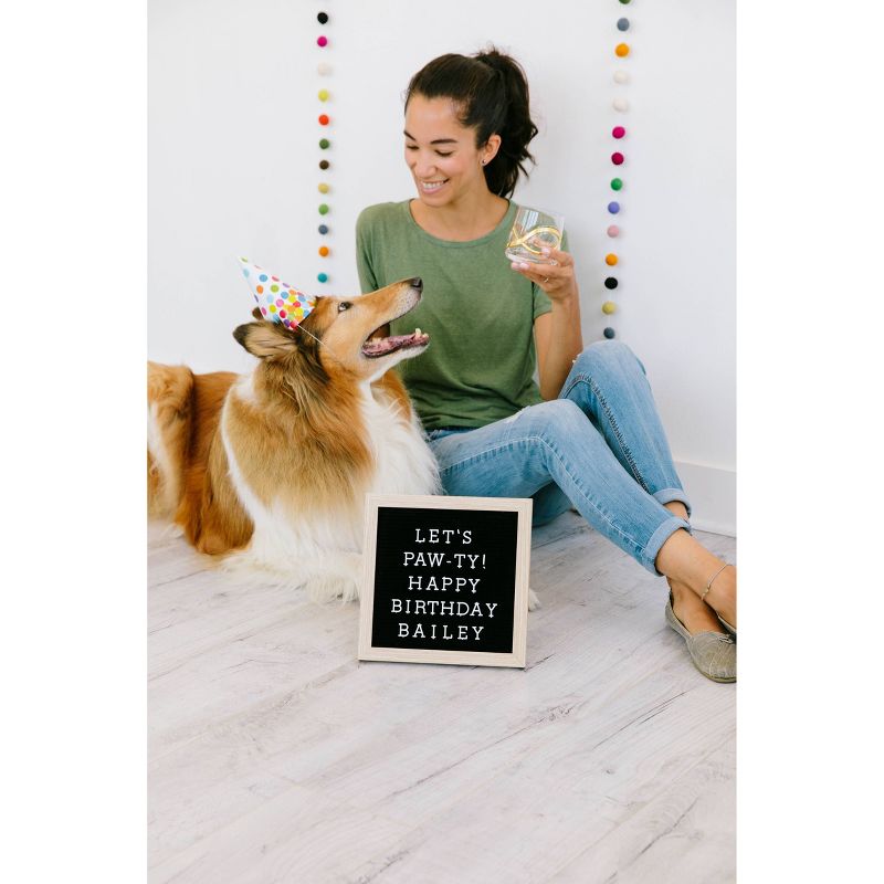 Pearhead Pet Letterboard Set - Black