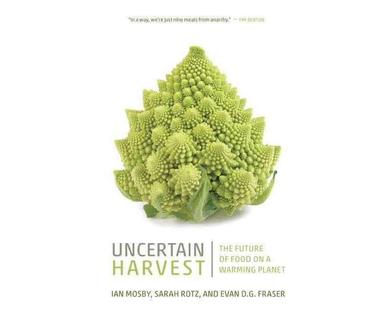The Future as Cultural Fact - by  Arjun Appadurai (Paperback)