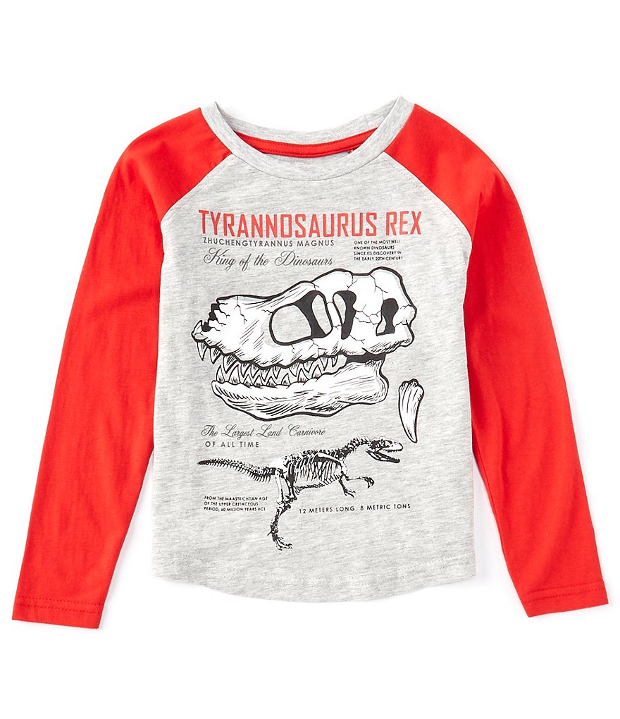 Hollywood Little Boys 4-7 Long-Sleeve Dinosaur Raglan Tee