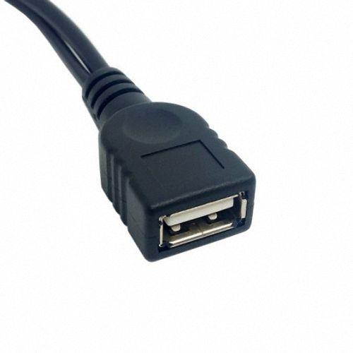 Cablecc Black USB 2.0 Female A to Dual A Male Extra Power Data Y Extension Cable for 2.5" Mobile Hard Disk