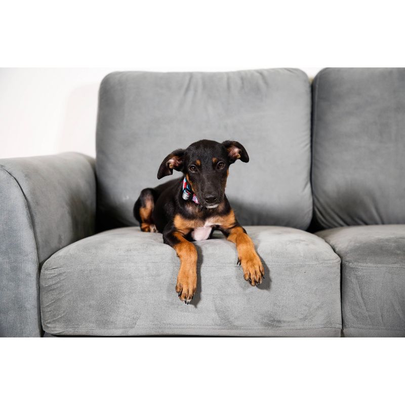 Hartz UltraGuard Plus Flea and Tick Home Spray - 16oz