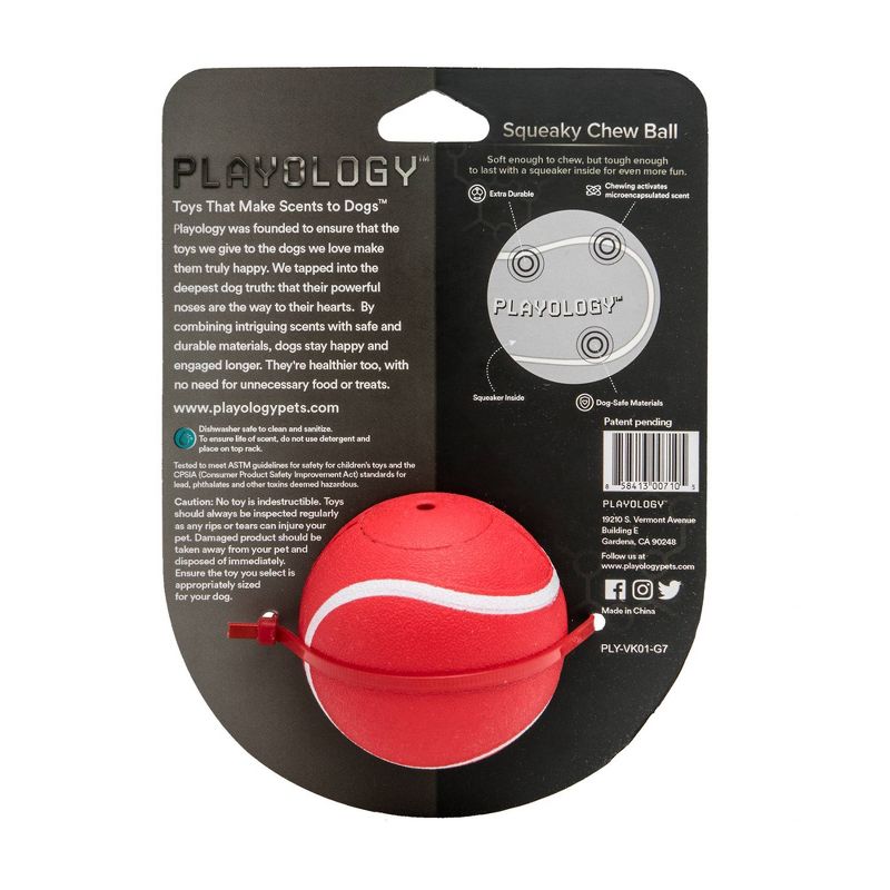 Playology Beef Scent Chew Ball Dog Toy - Red - M