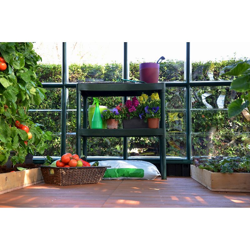 Two Tier Staging - Forest - Rion