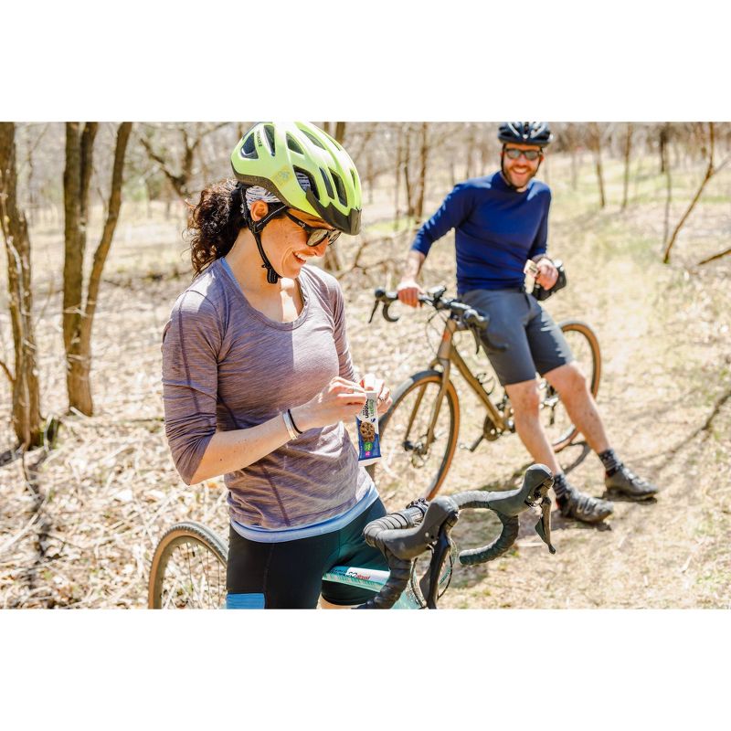 Orgain Organic Vegan Protein Bar - Chocolate Chip Cookie Dough - 12ct