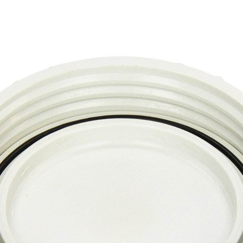 Zodiac Blank Cap Replacement for C Series Water Sanitizers, White | W193821