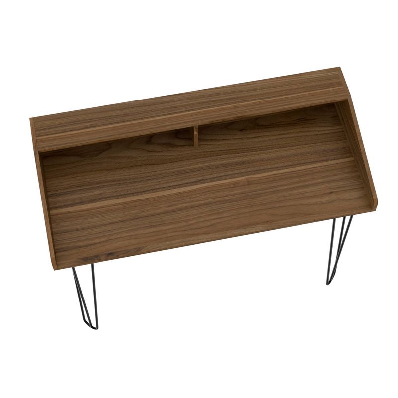 Aster Laptop Desk Brown - RST Brands