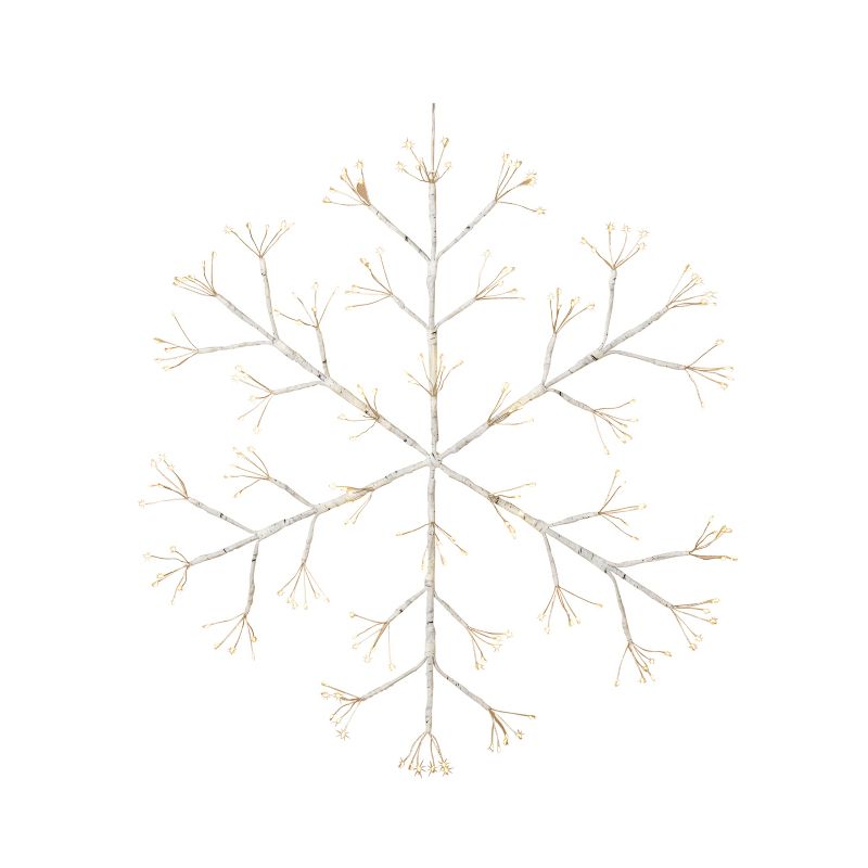 Gerson International 24-Inch Diameter Battery Operated Firecracker LED Lighted Hanging Snow Flake with Outdoor Battery Box