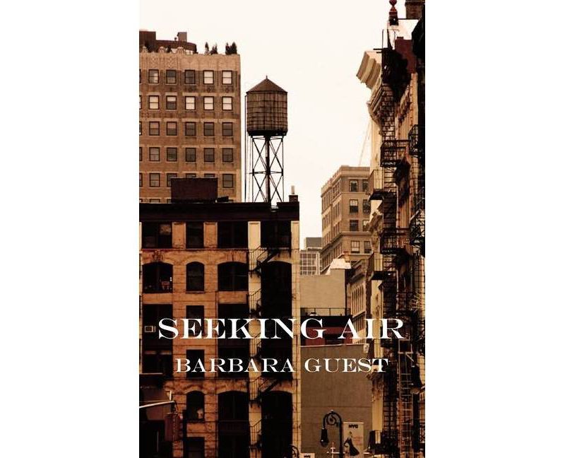 Seeking Air - 3rd Edition by  Barbara Guest (Paperback)