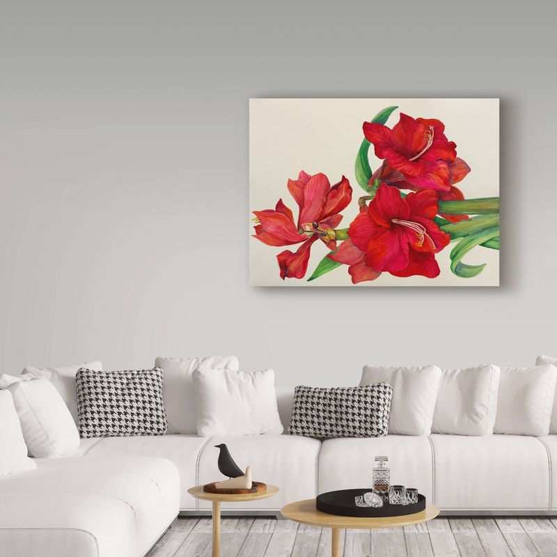 24" x 32" Amaryllis Standing Tall by Joanne Porter - Trademark Fine Art