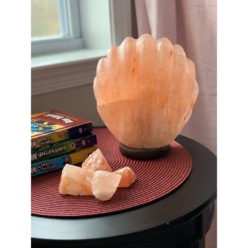 Sea Shell Salt Lamp Pink - Q&A Himalayan Salt