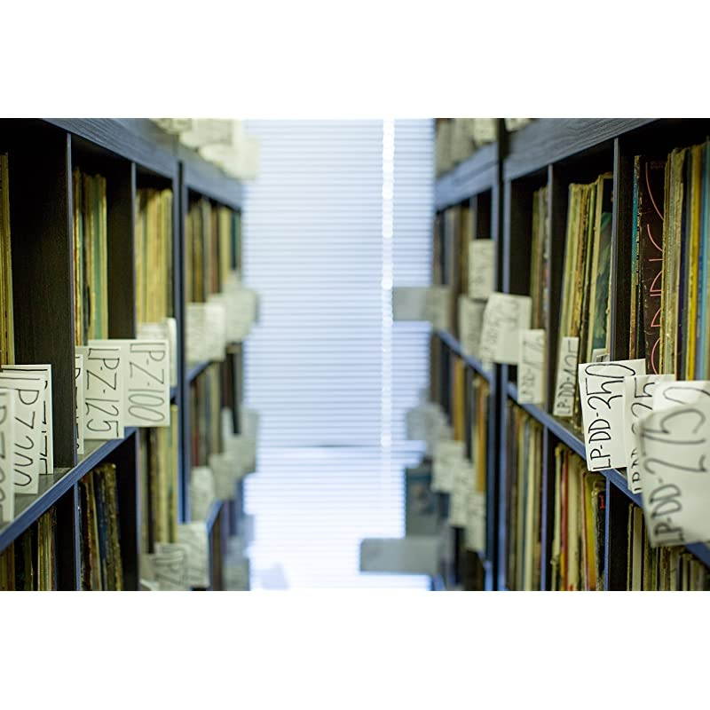 100 Clear Plastic Protective LP Outer Sleeves 3 Mil Vinyl Record Sleeves Album Covers 1275 x 125 Provide Your LP Collection with The Proper Protection