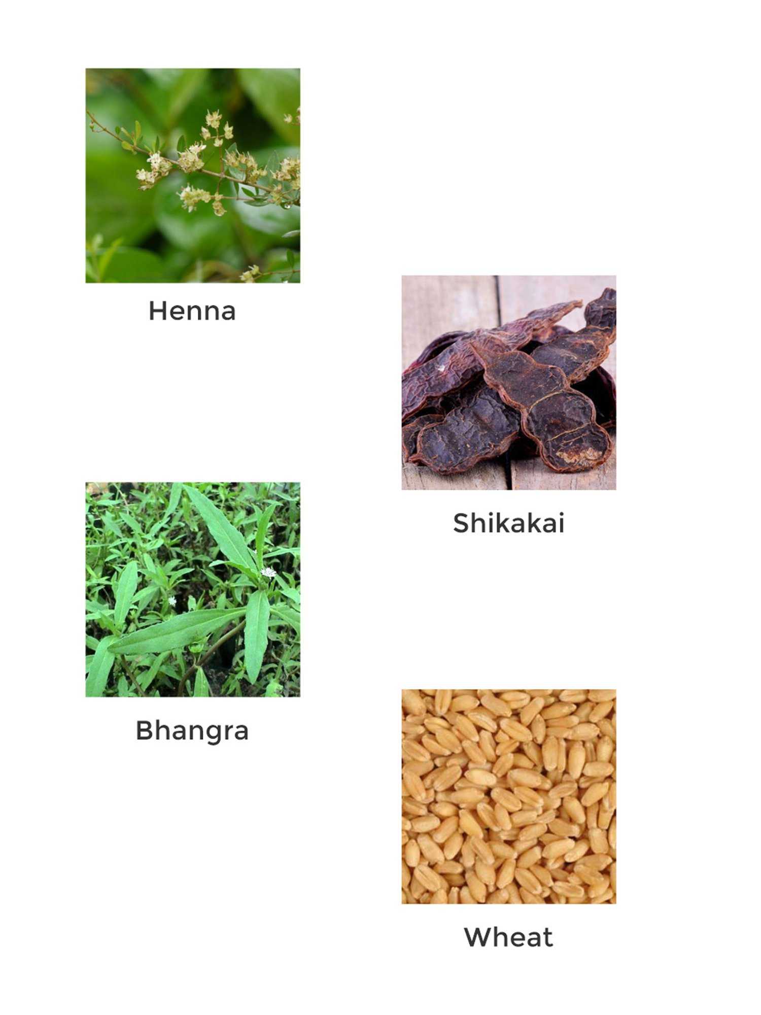 Vegetal Hairwell for Hairfull Control - 100 gm