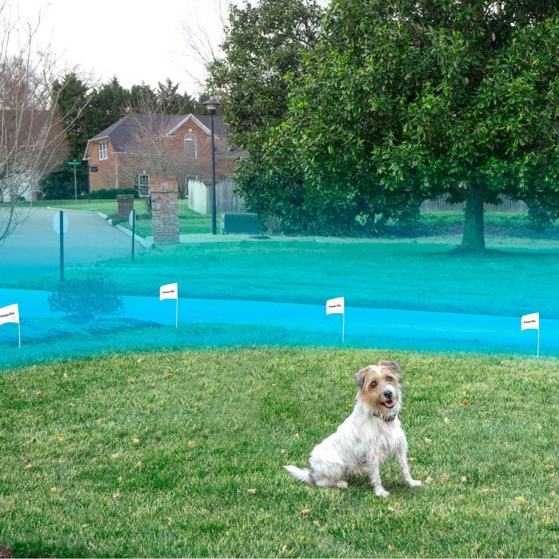 Premier Pet Dog and Cat Pet In-Ground Fence - Black