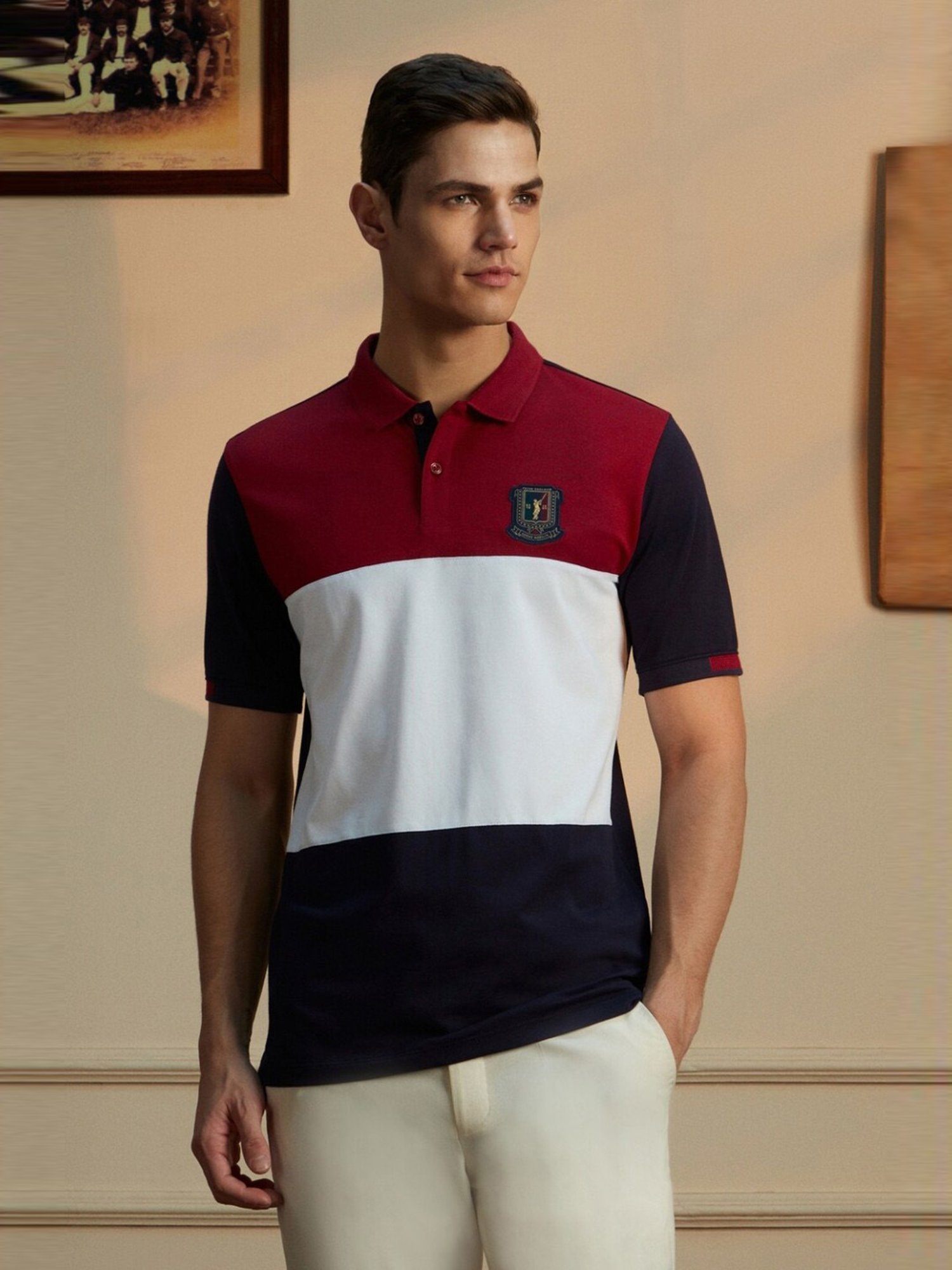 Peter England Multicolored Cotton Regular Fit Colour Block Polo T-Shirt