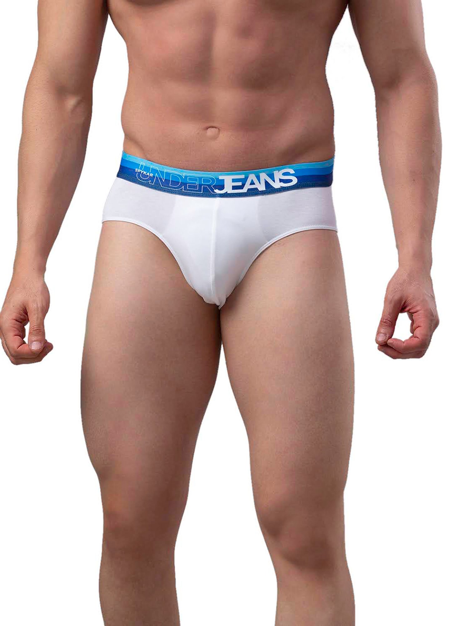 Levi's Grey Cotton Regular Fit Briefs